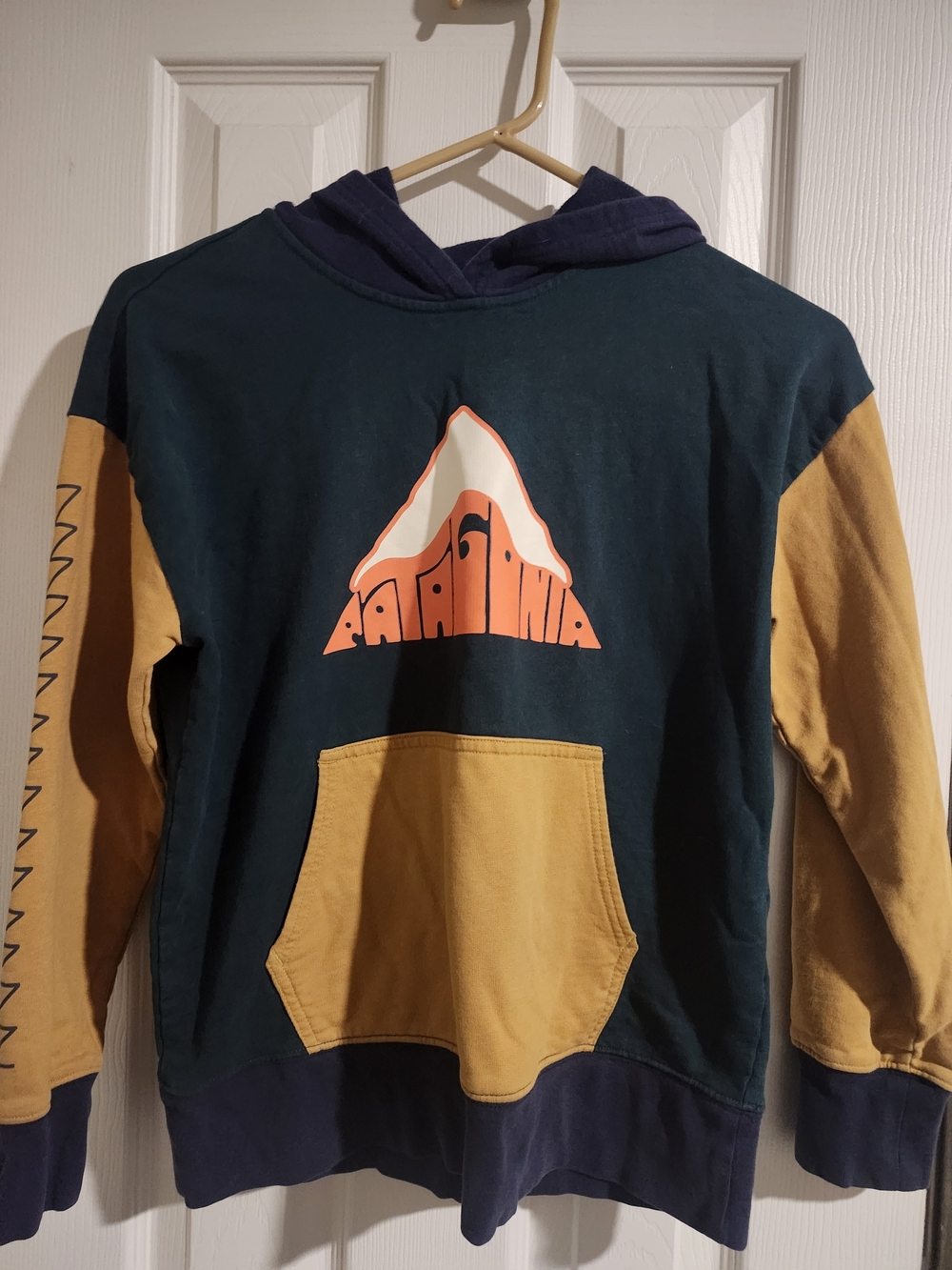 Patagonia Colorblock Crewneck Hoodie